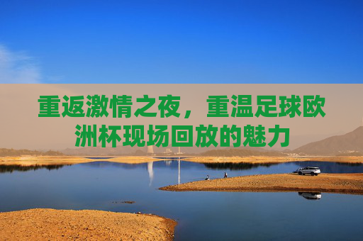 重返激情之夜，重温足球欧洲杯现场回放的魅力