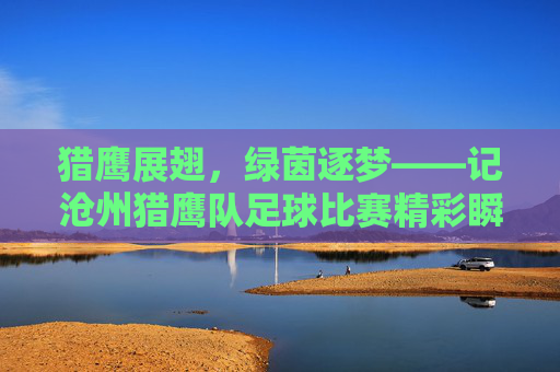 猎鹰展翅，绿茵逐梦——记沧州猎鹰队足球比赛精彩瞬间
