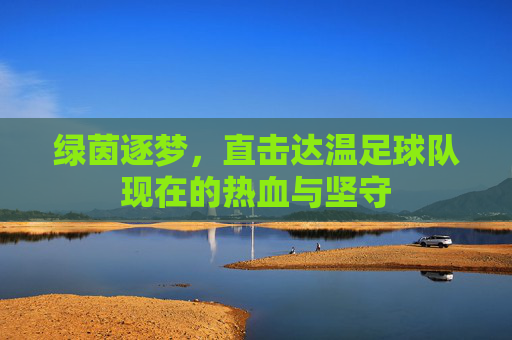 绿茵逐梦,直击达温足球队现在的热血与坚守