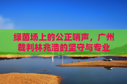 绿茵场上的公正哨声,广州裁判林兆浩的坚守与专业