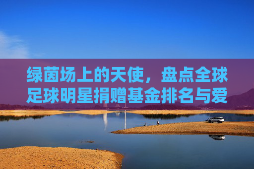绿茵场上的天使,盘点全球足球明星捐赠基金排名与爱心故事