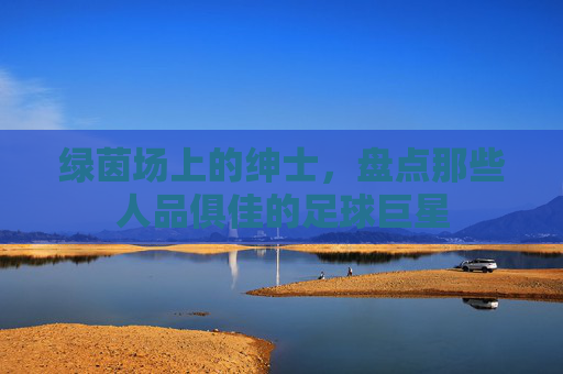 绿茵场上的绅士,盘点那些人品俱佳的足球巨星