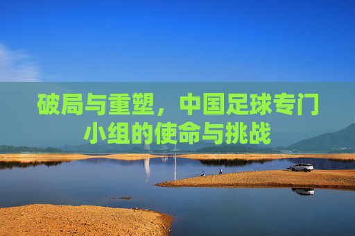 破局与重塑,中国足球专门小组的使命与挑战