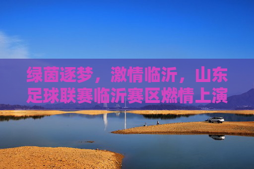 绿茵逐梦,激情临沂,山东足球联赛临沂赛区燃情上演