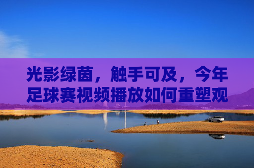 光影绿茵,触手可及,今年足球赛视频播放如何重塑观赛体验