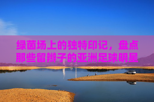 绿茵场上的独特印记，盘点那些留辫子的亚洲足球明星
