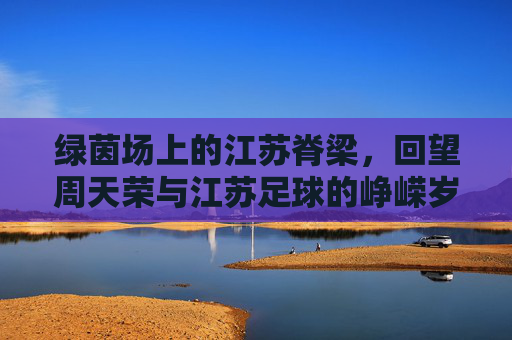 绿茵场上的江苏脊梁，回望周天荣与江苏足球的峥嵘岁月