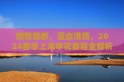 燃情魔都,蓝血沸腾,2024赛季上海申花赛程全解析与观赛指南