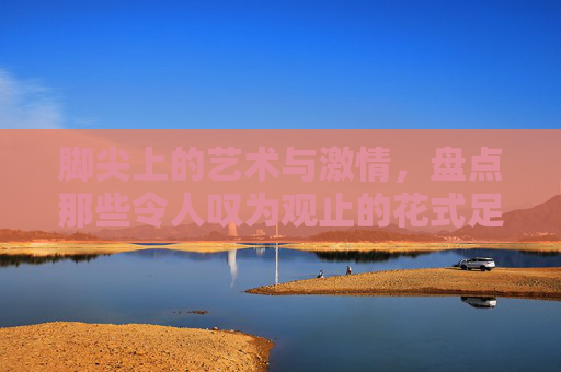脚尖上的艺术与激情,盘点那些令人叹为观止的花式足球秀视频