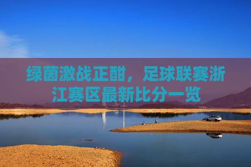 绿茵激战正酣，足球联赛浙江赛区最新比分一览
