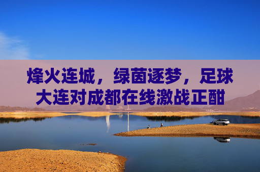 烽火连城,绿茵逐梦,足球大连对成都在线激战正酣