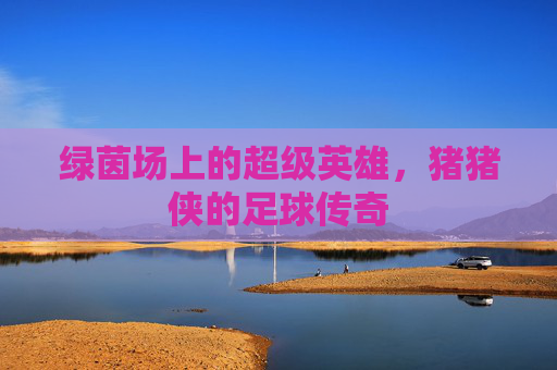 绿茵场上的超级英雄，猪猪侠的足球传奇