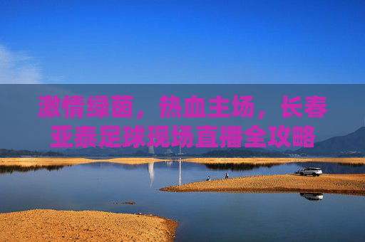 激情绿茵,热血主场,长春亚泰足球现场直播全攻略
