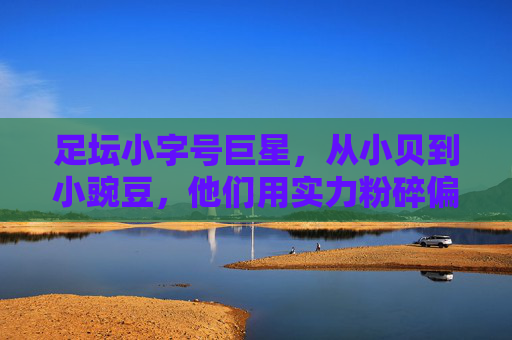 足坛小字号巨星,从小贝到小豌豆,他们用实力粉碎偏见