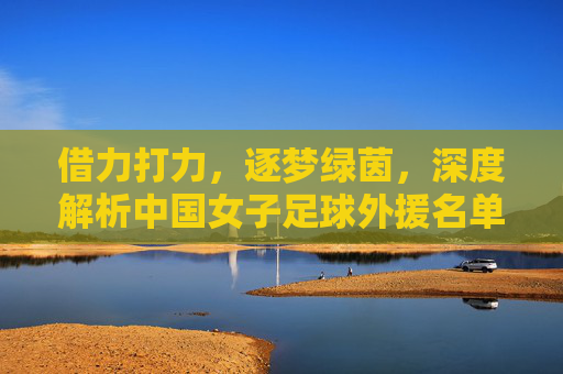 借力打力,逐梦绿茵,深度解析中国女子足球外援名单与联赛格局
