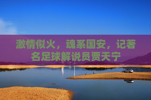 激情似火,魂系国安,记著名足球解说员贾天宁