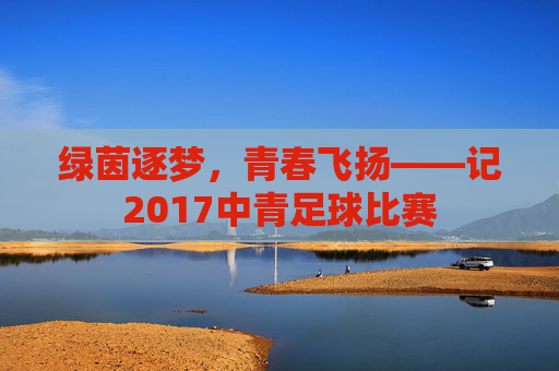 绿茵逐梦,青春飞扬——记2017中青足球比赛