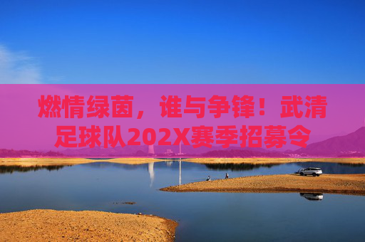 燃情绿茵,谁与争锋!武清足球队202X赛季招募令