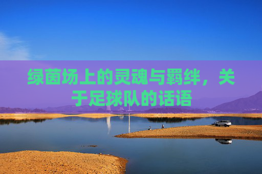 绿茵场上的灵魂与羁绊,关于足球队的话语