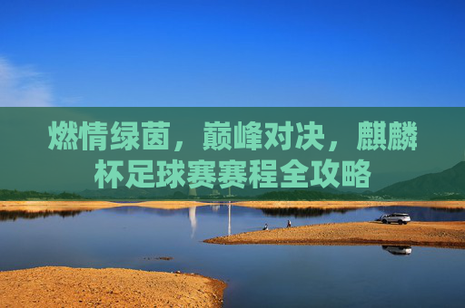 燃情绿茵,巅峰对决,麒麟杯足球赛赛程全攻略