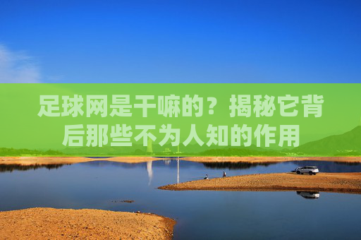 足球网是干嘛的?揭秘它背后那些不为人知的作用