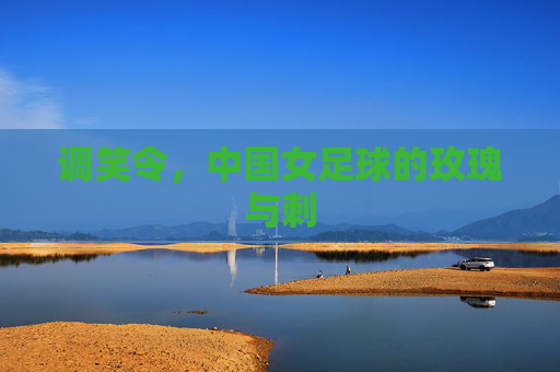 调笑令，中国女足球的玫瑰与刺