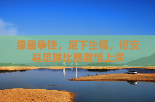 绿茵争锋，足下生辉，诏安县足球比赛激情上演