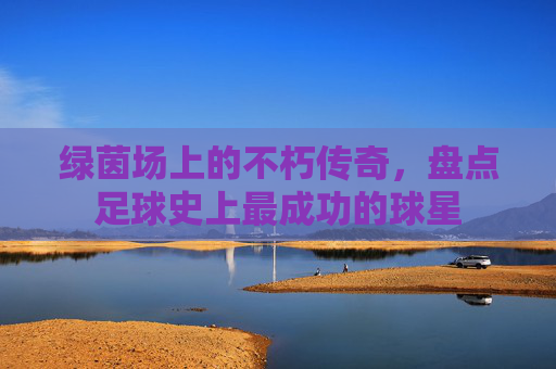 绿茵场上的不朽传奇,盘点足球史上最成功的球星
