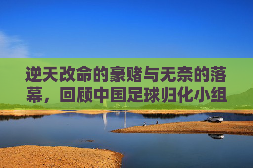 逆天改命的豪赌与无奈的落幕，回顾中国足球归化小组的十年长跑