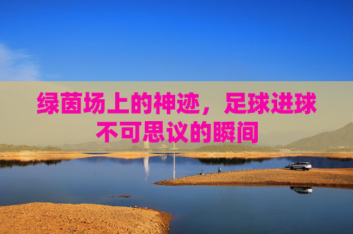 绿茵场上的神迹，足球进球不可思议的瞬间