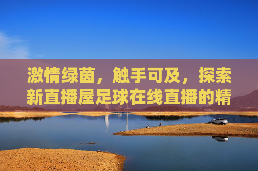 激情绿茵,触手可及,探索新直播屋足球在线直播的精彩世界