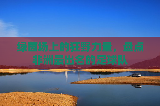 绿茵场上的狂野力量，盘点非洲最出名的足球队