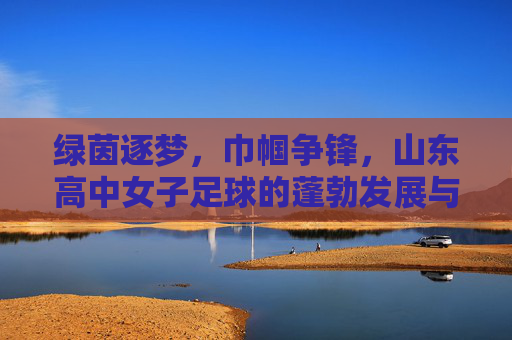 绿茵逐梦,巾帼争锋,山东高中女子足球的蓬勃发展与未来展望