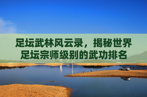 足坛武林风云录,揭秘世界足坛宗师级别的武功排名