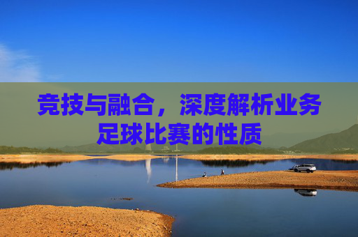 竞技与融合，深度解析业务足球比赛的性质