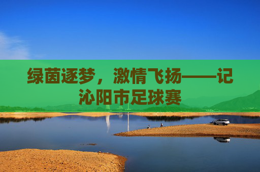 绿茵逐梦，激情飞扬——记沁阳市足球赛