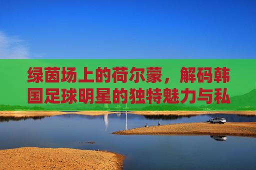绿茵场上的荷尔蒙,解码韩国足球明星的独特魅力与私域