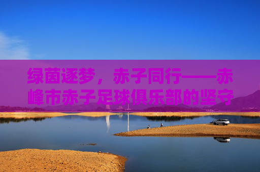 绿茵逐梦，赤子同行——赤峰市赤子足球俱乐部的坚守与荣光