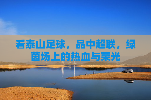 看泰山足球,品中超联,绿茵场上的热血与荣光