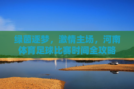 绿茵逐梦,激情主场,河南体育足球比赛时间全攻略