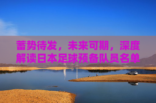 蓄势待发，未来可期，深度解读日本足球预备队员名单背后的野心与布局