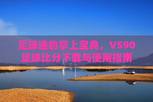 足球迷的掌上宝典,VS90足球比分下载与使用指南