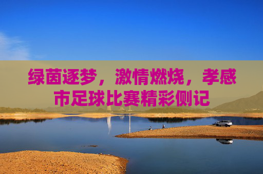 绿茵逐梦，激情燃烧，孝感市足球比赛精彩侧记