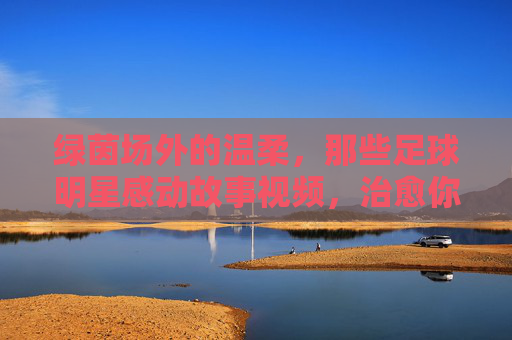 绿茵场外的温柔,那些足球明星感动故事视频,治愈你的每一个瞬间