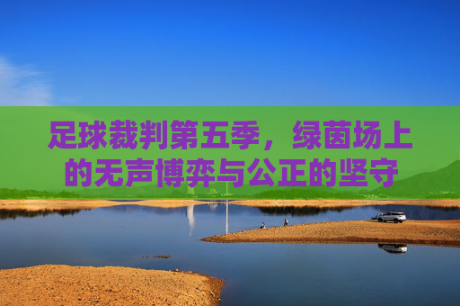 足球裁判第五季,绿茵场上的无声博弈与公正的坚守