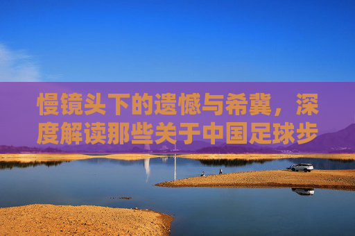 慢镜头下的遗憾与希冀,深度解读那些关于中国足球步伐的视频