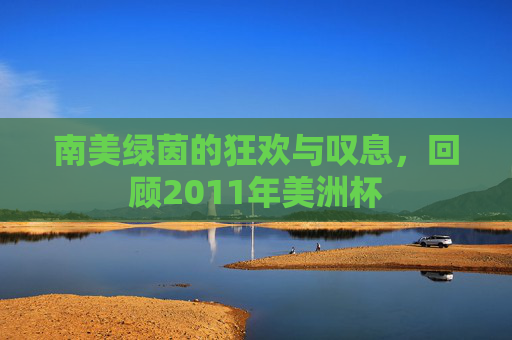 南美绿茵的狂欢与叹息,回顾2011年美洲杯