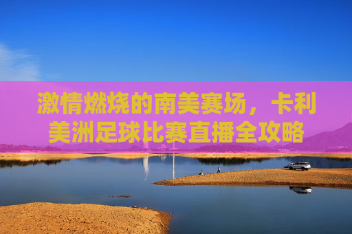 激情燃烧的南美赛场，卡利美洲足球比赛直播全攻略