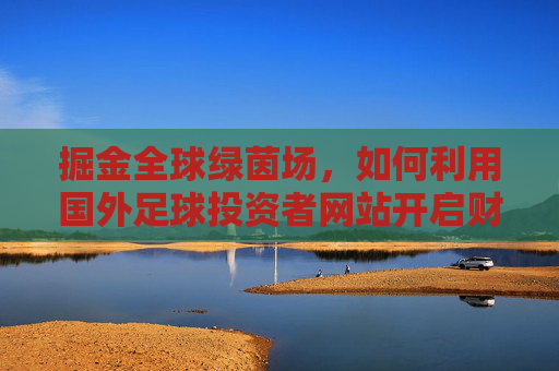 掘金全球绿茵场,如何利用国外足球投资者网站开启财富新机遇