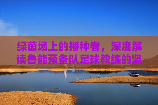 绿茵场上的播种者,深度解读鲁能预备队足球教练的坚守与传承